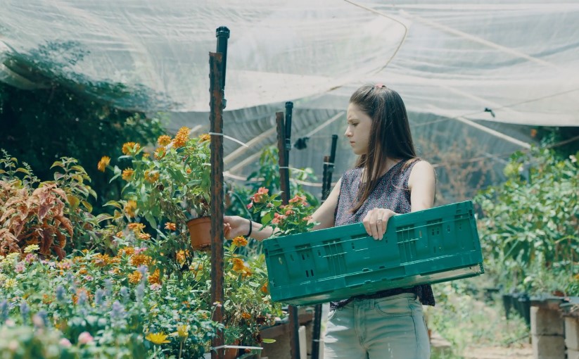 Native Plant Sales